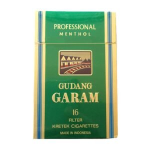 Gudang Garam Professional Menthol 16